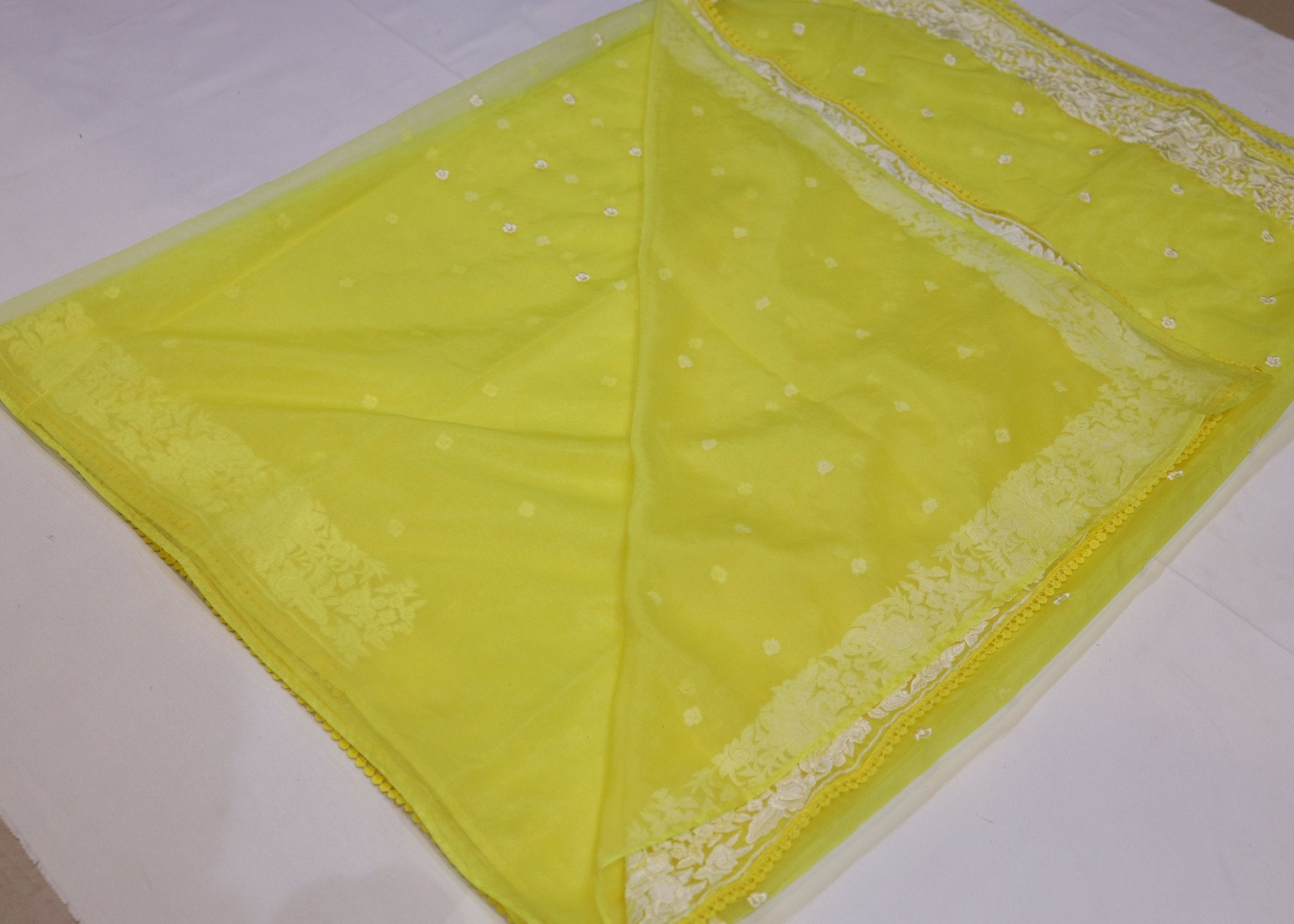 Organza Embroidery Saree - Studio Ribbons