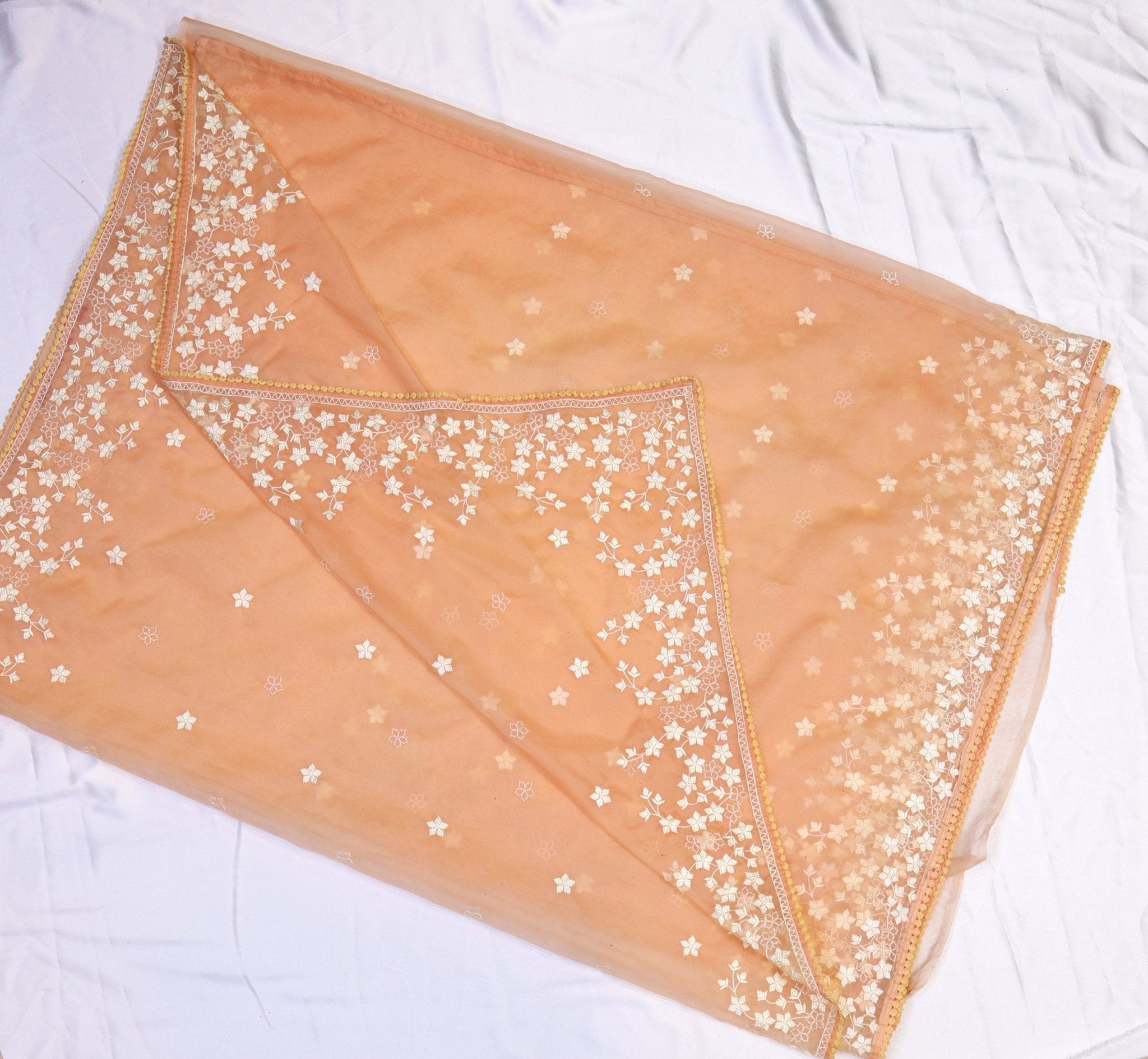 Organza Embroidery Saree - Studio Ribbons