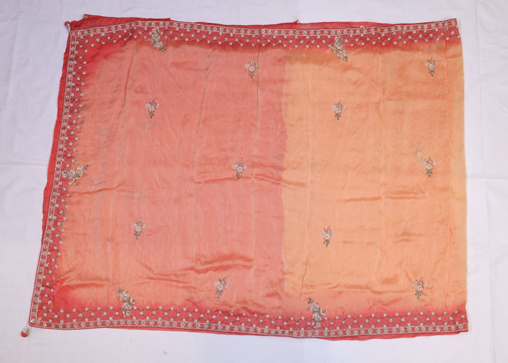 Organza Saree with Double Shade and Detailed Handwork - Studio Ribbons