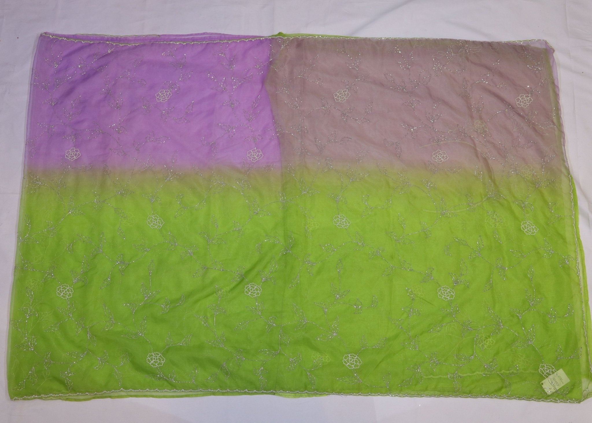 Organza Saree with Double Shade and Detailed Handwork - Studio Ribbons