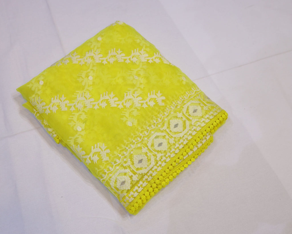 Organza Saree with Thread Embroidery - Studio Ribbons