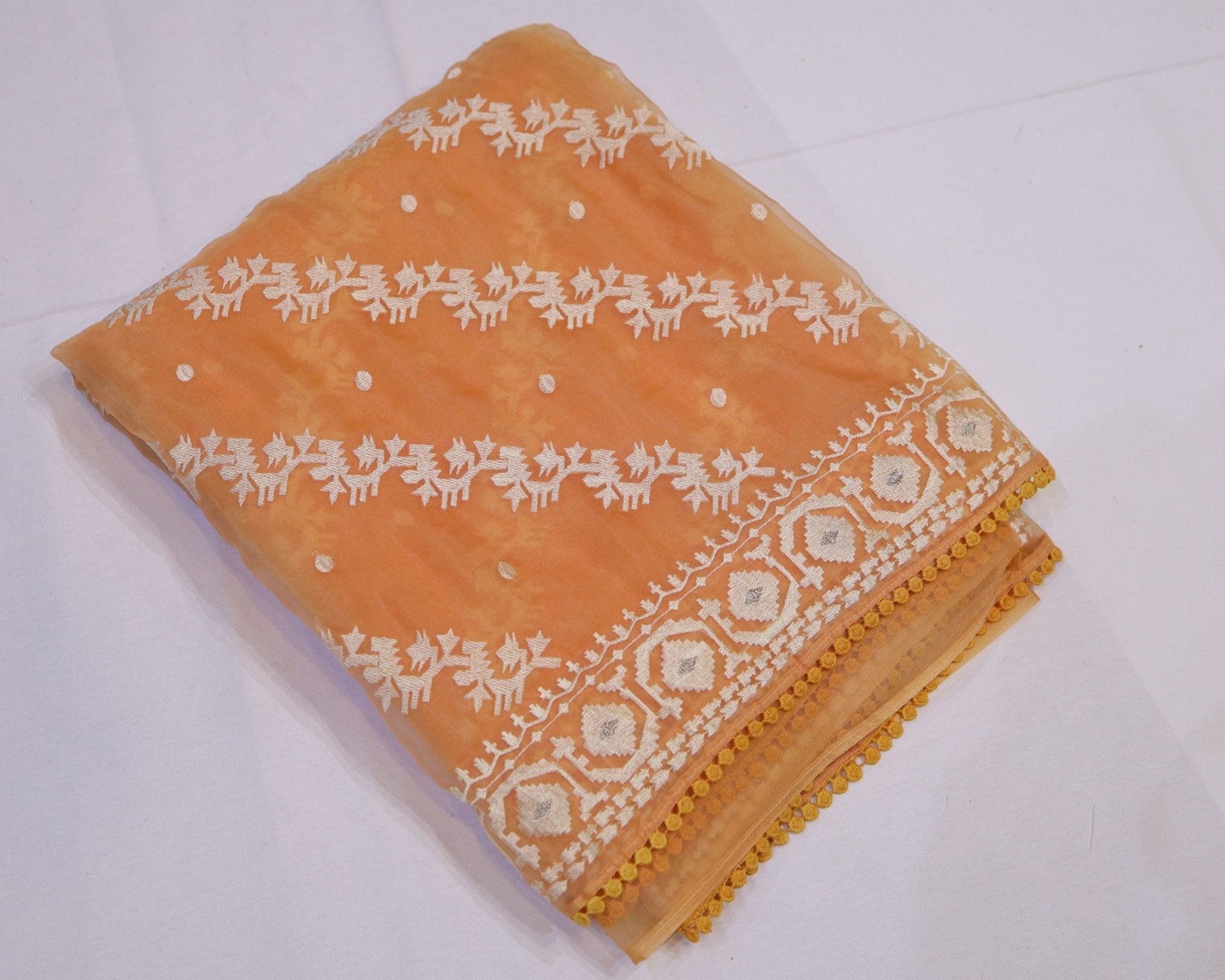 Organza Saree with Thread Embroidery - Studio Ribbons